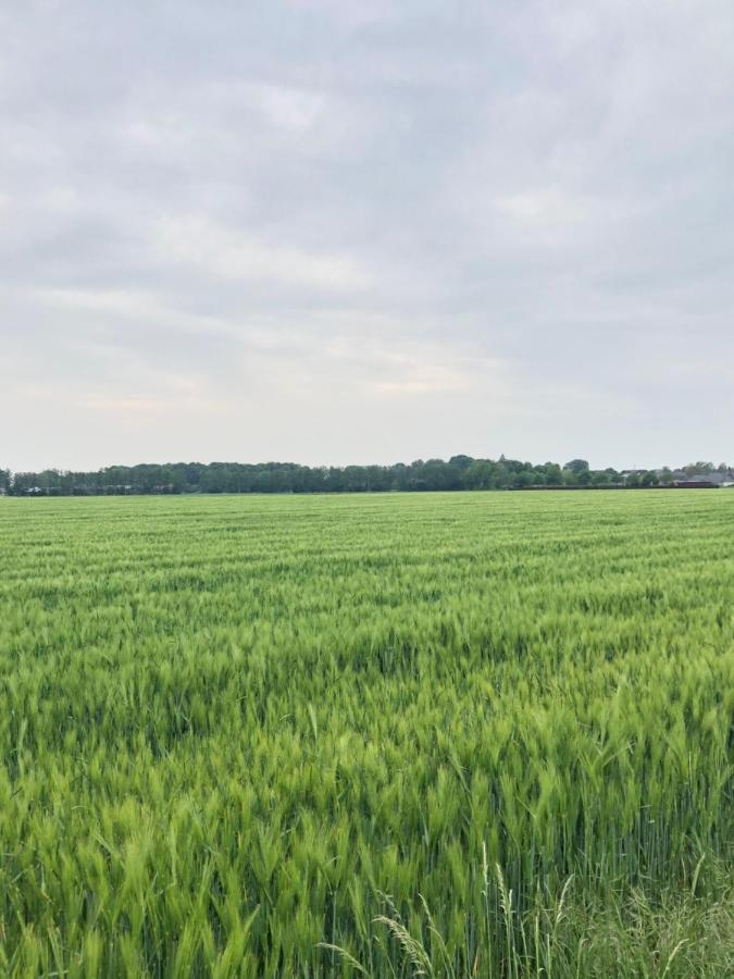 Bee Home - Urlaubs Und Business Loft Kevelaer Exteriér fotografie